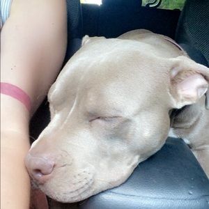 Meet your Posher, Meagan